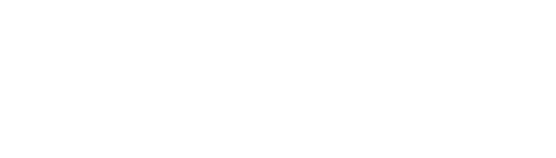 Baden logo 1