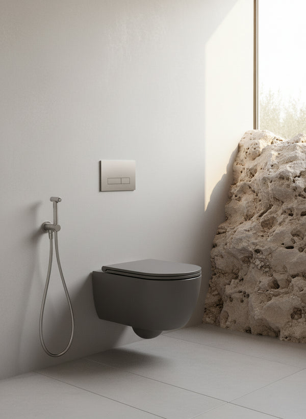 Mastello toilet Dream rimfree met soft-close toiletzitting mat grafiet